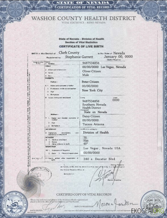 Modèle d'acte de naissance de l'État du Nevada aux États Unis au format PSD